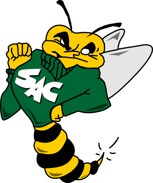 Sacramento State Hornets 1991-2003 Primary Logo iron on transfers for T-shirts